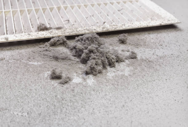 Best Local Air Duct Cleaning Services  in Matthews, NC